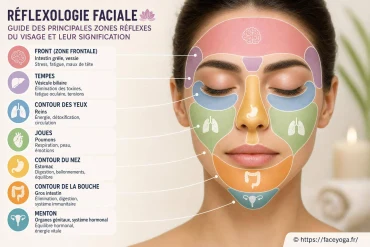 Réflexologie faciale : guide des principales zones réflexes du visage